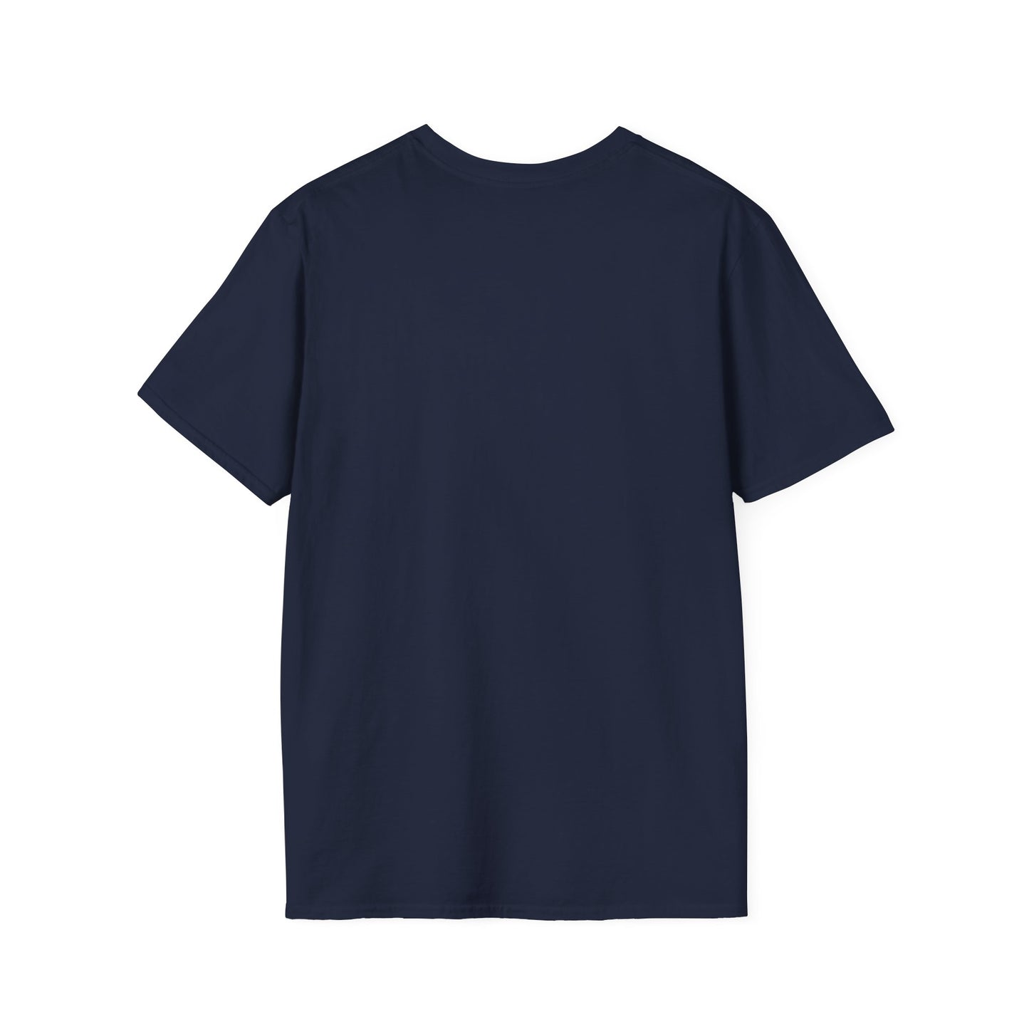 Oasis 2025 concert tee - Unisex Softstyle T-Shirt uniquely designed Oasis Gallagher white graphic, a brit pop rock gift.
