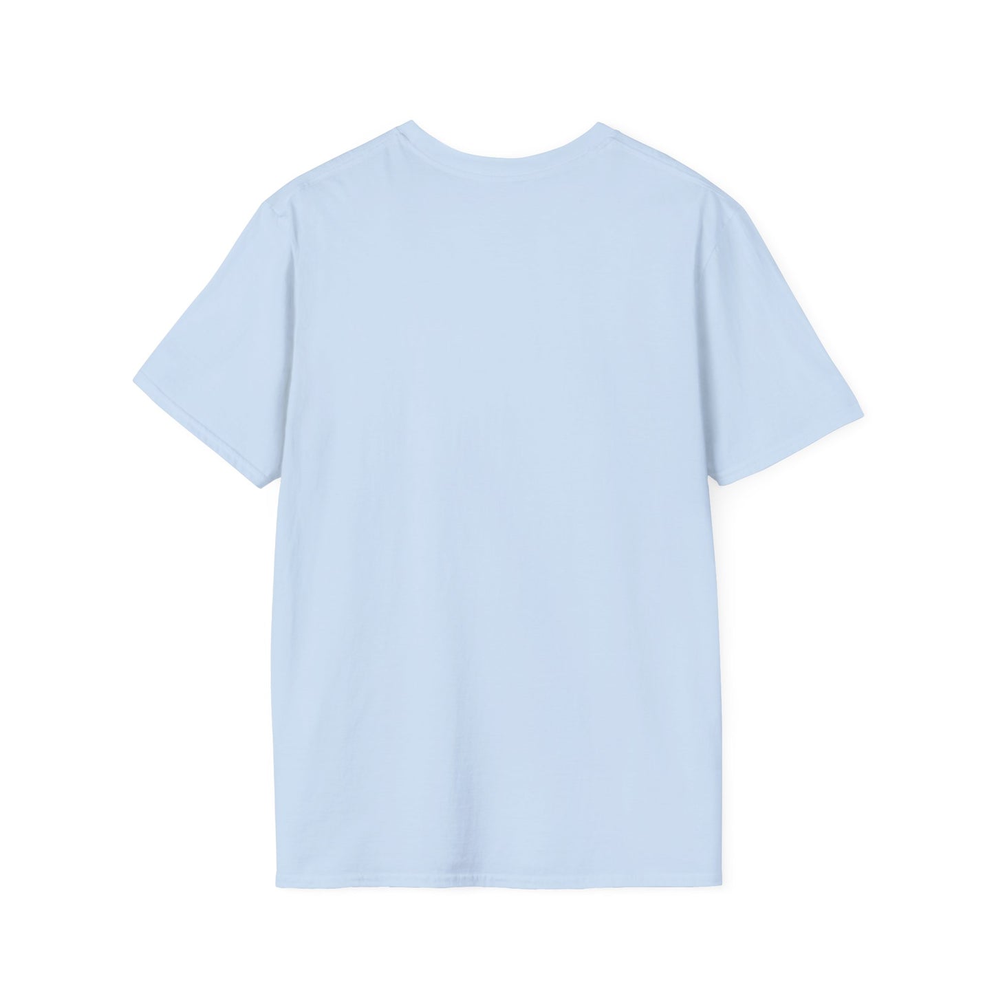 Oasis 2025 concert tee - Unisex Softstyle T-Shirt uniquely designed Oasis Gallagher white graphic, a brit pop rock gift.