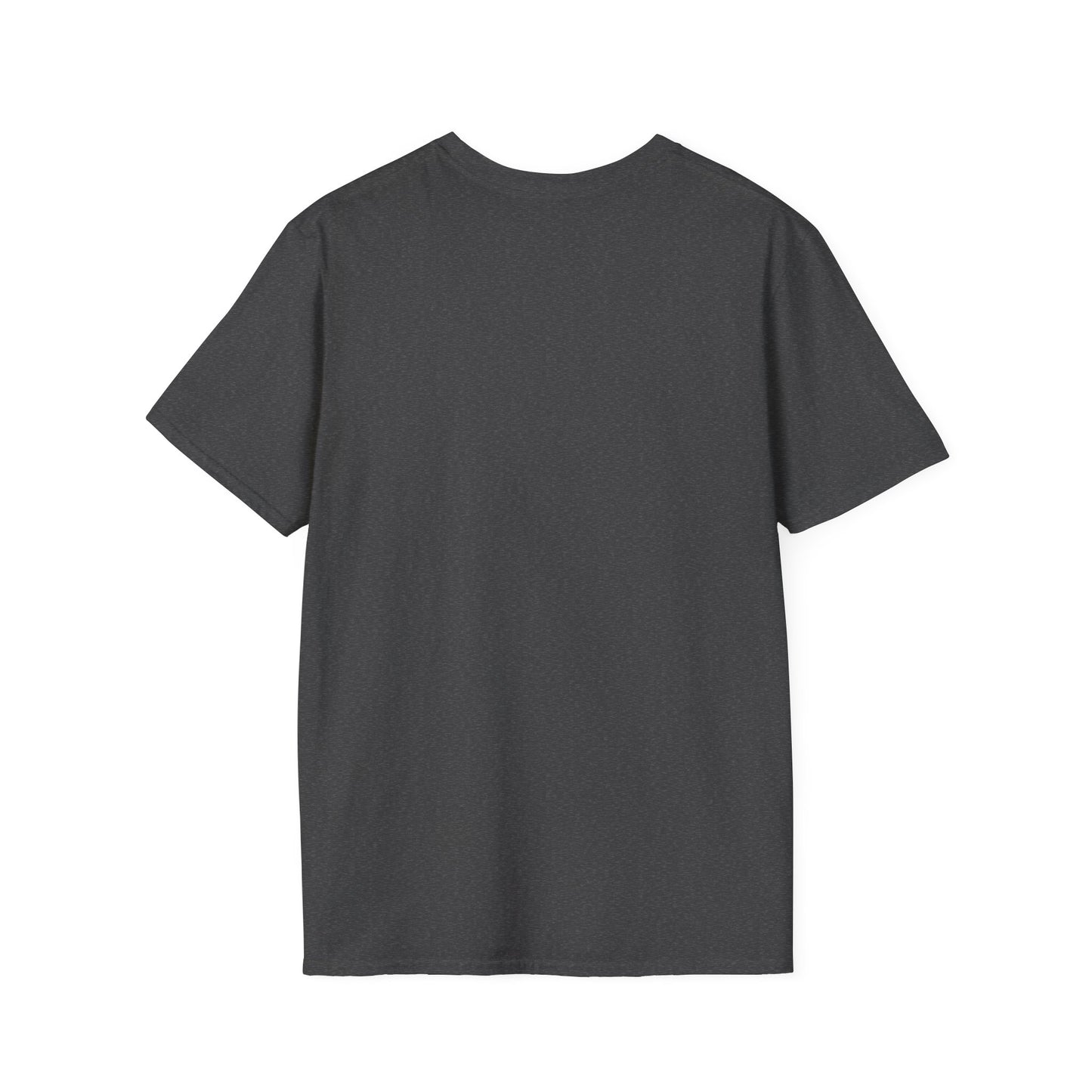Oasis 2025 concert tee - Unisex Softstyle T-Shirt uniquely designed Oasis Gallagher white graphic, a brit pop rock gift.