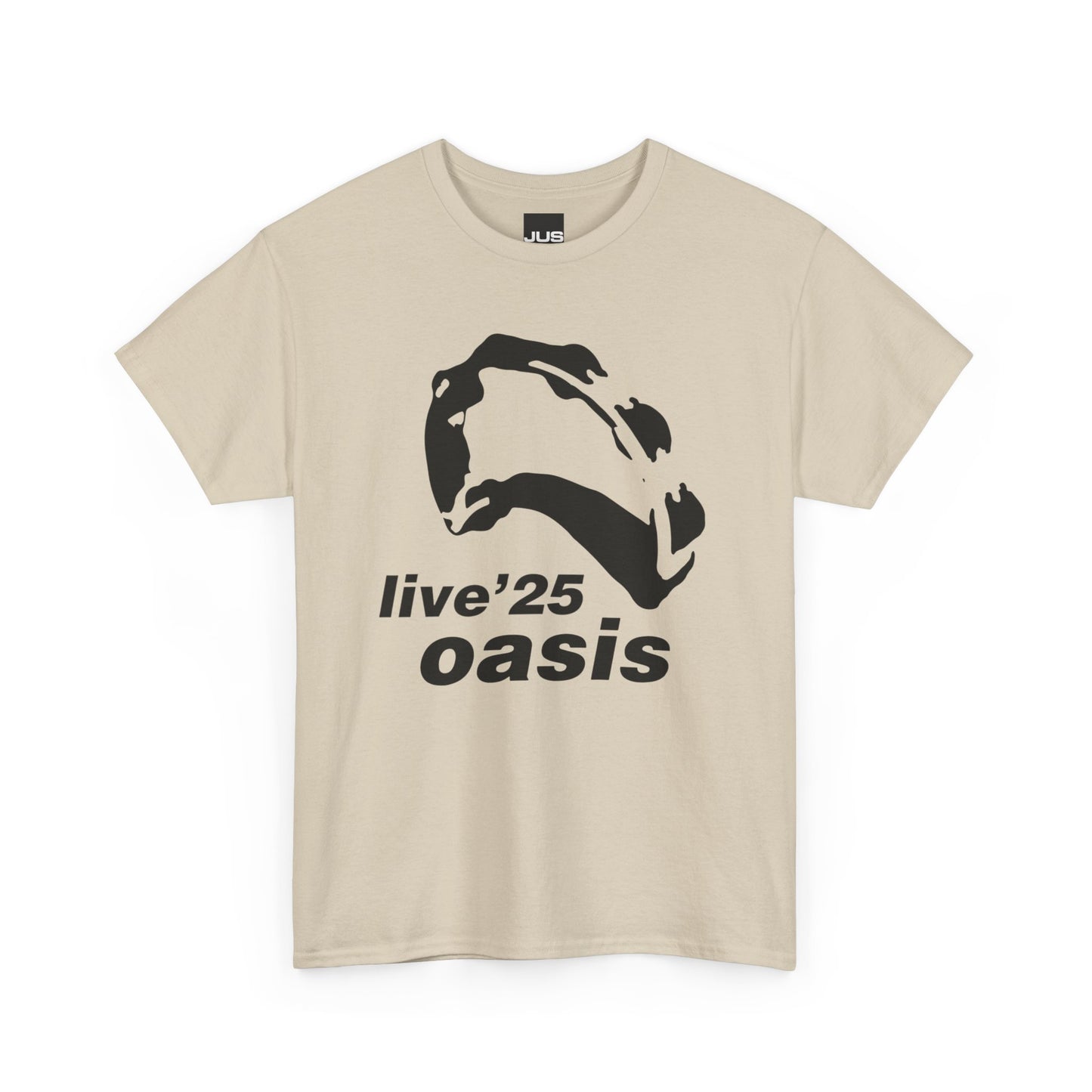 Oasis 25 Unisex T-Shirt - Gallagher's Iconic 90's Tambourine, Concert tee, Brit Pop & Rock, Fan Gift Shirt