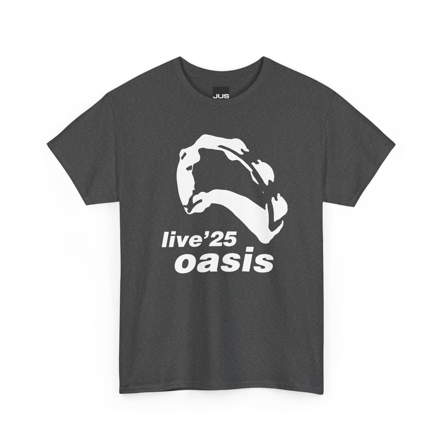 Oasis 25 Unisex T-Shirt - Gallagher's Iconic 90's Tambourine, Concert tee, Brit Pop & Rock, Fan Gift Shirt