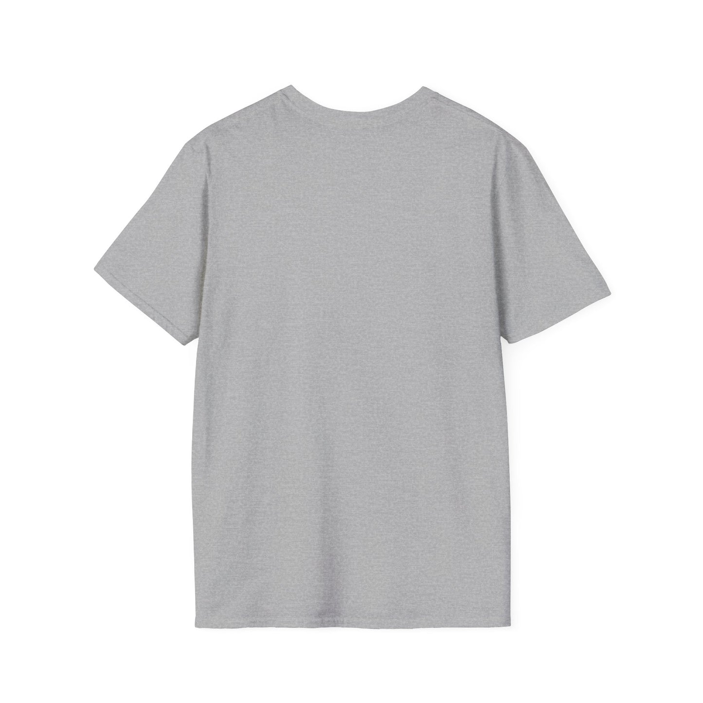 Oasis 2025 concert tee - Unisex Softstyle T-Shirt uniquely designed Oasis Gallagher white graphic, a brit pop rock gift.
