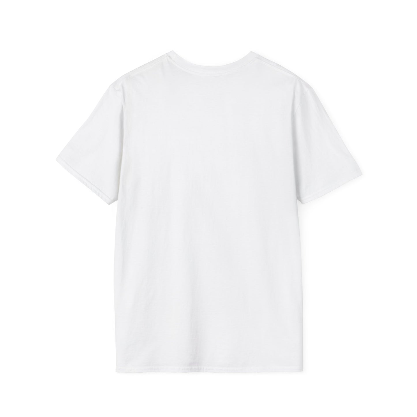 Oasis 2025 concert tee - Unisex Softstyle T-Shirt uniquely designed Oasis Gallagher white graphic, a brit pop rock gift.
